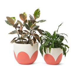 Sangria Petals Pot - Pop & Scott | Pop & Scott - Indoor Pots And Planters