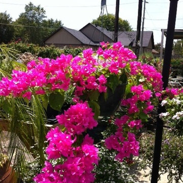 Landscape Supplies