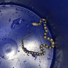 snake id  in Athens, Ga.