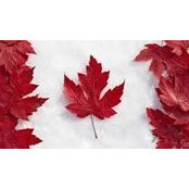 Pablo Gerstenfeld's photo