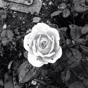 Mihaela Ruxandra's photo