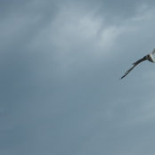Foto de vivian greening
