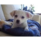 Jenn Kennedy's photo