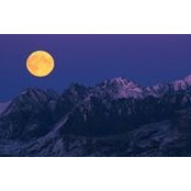 Tami Madole's photo