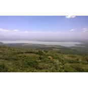 Mucheru Chege's photo