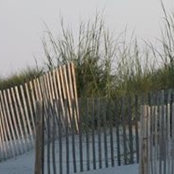Denise Garcia's photo