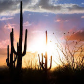 Nicole Carmichael's photo