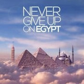 Hesham Sewilam's photo