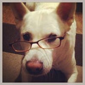 Anna Bradley's photo