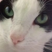 Kim Cranford's photo