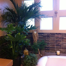 Bathroom remodels donee