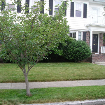 Providence Garden for the Birds