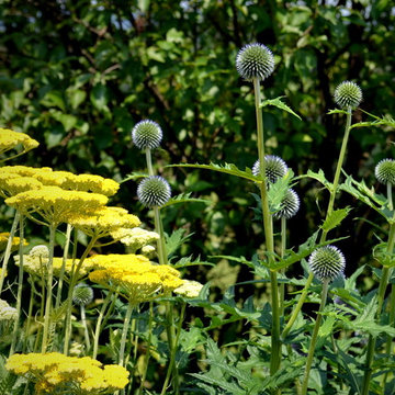 flowering vegetable garden