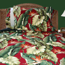 claudia_batson's ideas