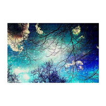 Decorative Products