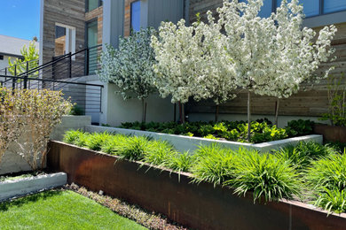 Design ideas for a contemporary landscaping in Salt Lake City.