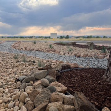 Xeriscape Transformation - Highlands Ranch, CO