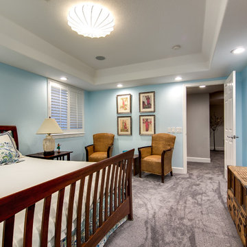 Preserve Basement Remodel