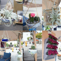 Hanging Pendants - Indoor Pots And Planters