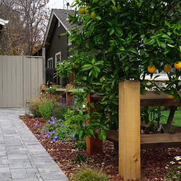 Los Gatos Residence