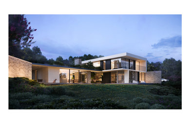 Diseño de fachada de casa blanca y gris contemporánea de tamaño medio de dos plantas con revestimientos combinados, tejado plano, techo verde y panel y listón