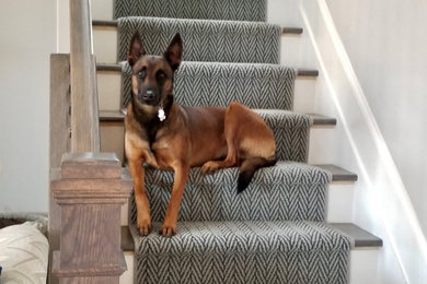 Staircase - traditional staircase idea in Atlanta