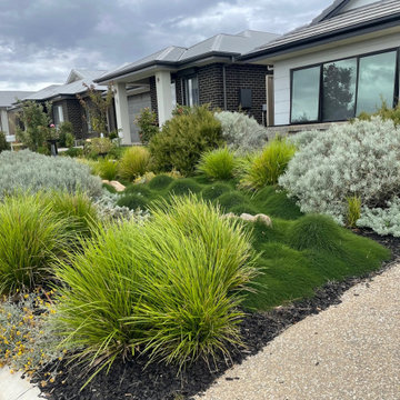 A habitat garden using Australian natives!