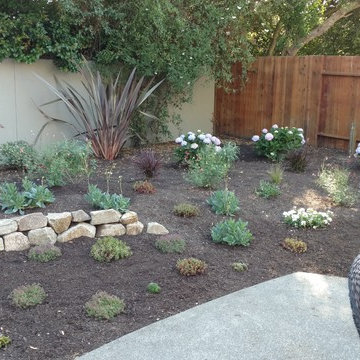 Sonoma County Residence Back Yard Remodel