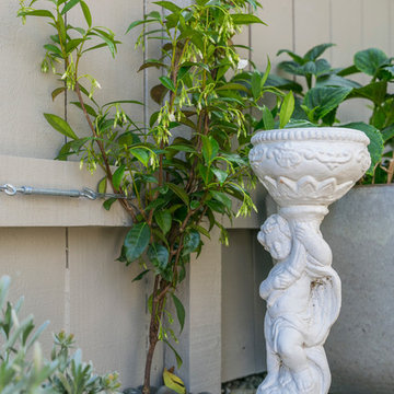 A tiny back garden