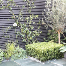 Garden 2020