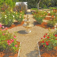 Rose Garden
