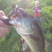 Dave Brown's photo