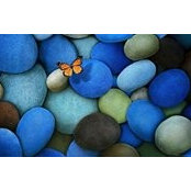 Sue Kotnik's photo