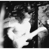 David Robertson's photo