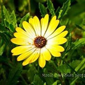 Rocio Jerbasi's photo