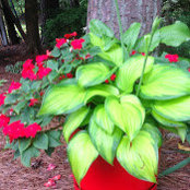 Sharon VerBeek's photo