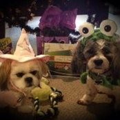 Gabby Velastegui's photo