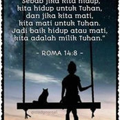 Ivon Susan's photo