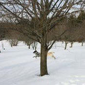 Giovanni Marchi's photo