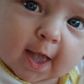 Hannah Callahan Steiber's photo