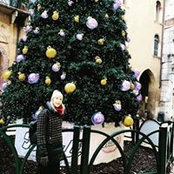 Ilaria Molinaro's photo