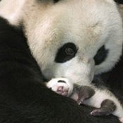 Pamela McCabe's photo