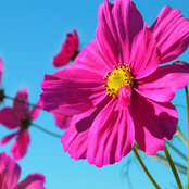 Linda Tapia's photo