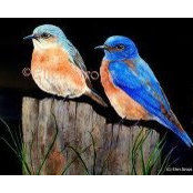 Dee Glover's photo