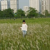 Foto von Vu Pham