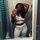 Jasmine W