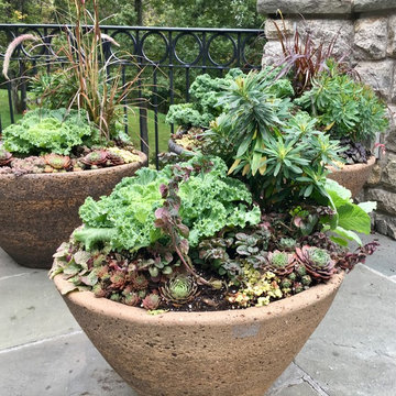 2017 autumn containers