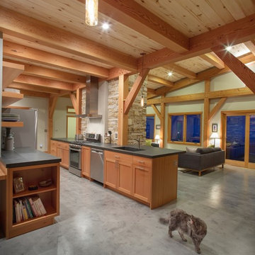 Open Living, and cat