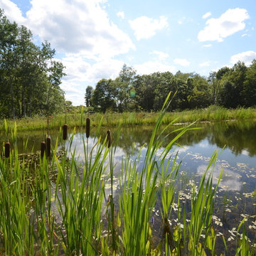 Millerton Retreat: Pond
