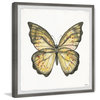 "Big Yellow Mariposa" Framed Painting Print, 32"x32", 32"x32"
